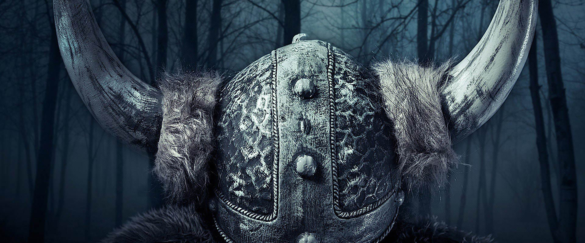 New project launched stay tuned